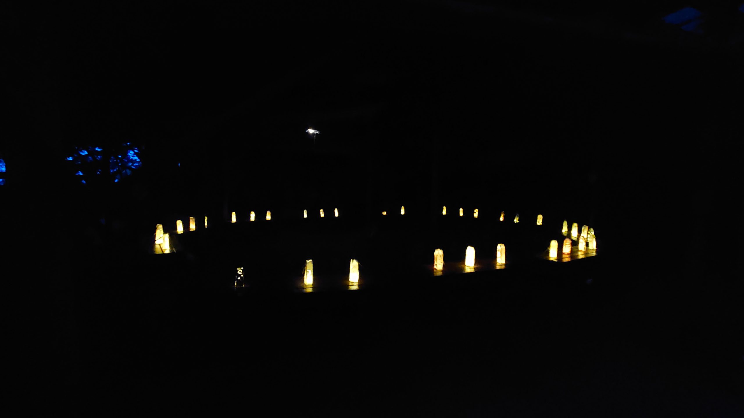 キャンプ写真14キャンプファイヤー